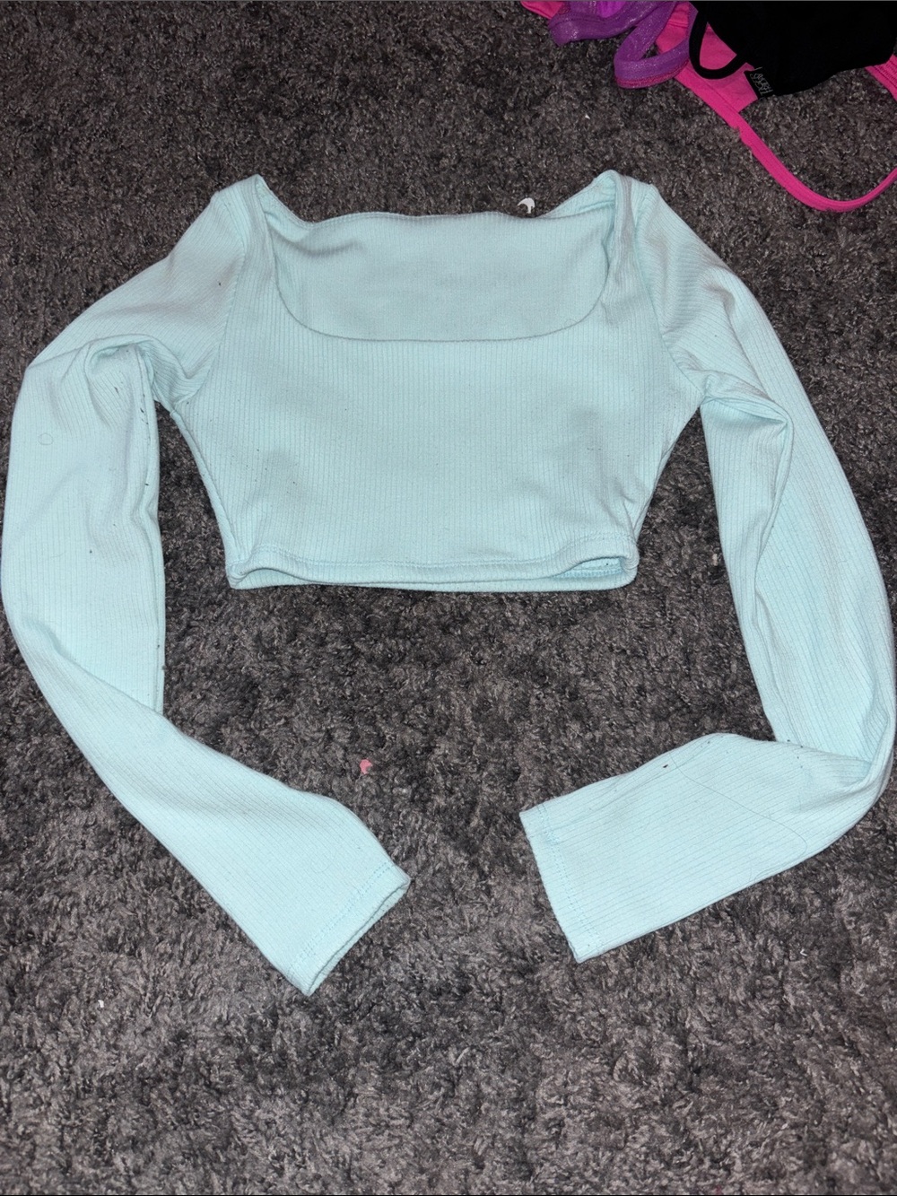 Tiger Friday Mint Blue Long Sleeve Crop